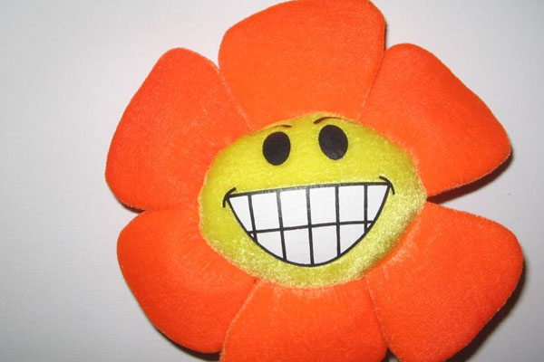 Les Fleurs Peluches A Accrocher Sur La Poussette